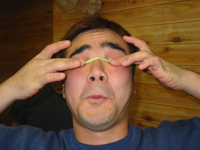 shibata.jpg